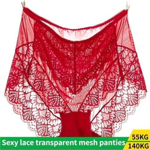 Womens Sexy Lace Full Transparent Mesh Panties Extra Large Size Womens Plus Size Panties See Through Panties Panties Women