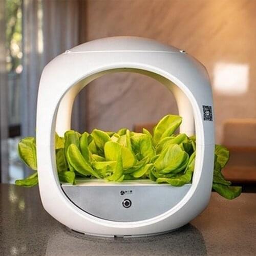 2021 Smart home intelligent hydroponic growing system herb garden planter