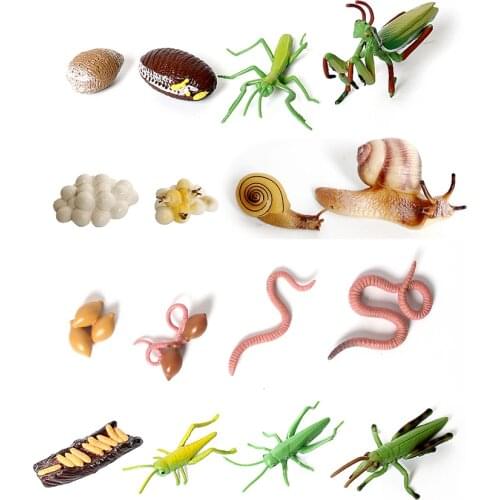 Simulation Earthworm,Grasshopper,Mantis,Snail Life cycles Animal Model collection Action Figures Teaching Educational toys