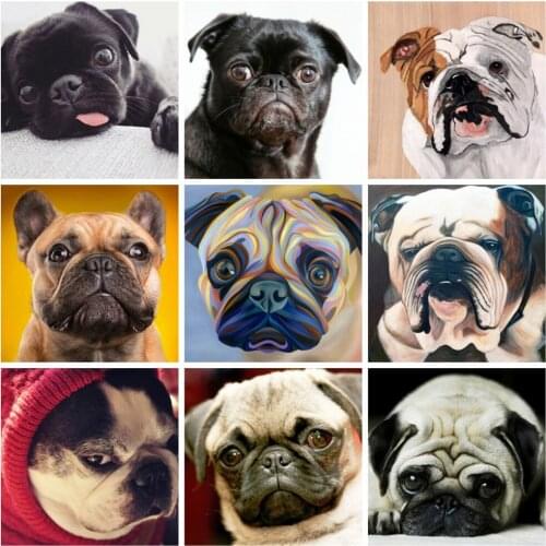 Huacan Diamond Painting New Arrival Dog Full Square/round Diamond Embroidery Mosaic Pet Animal Home Decor