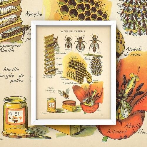 Antique Bees Prints Natural Poster Insects Vintage French Honey Bee Wall Art Canvas Painting Sepia Toned Bee Diagram Wall Decor