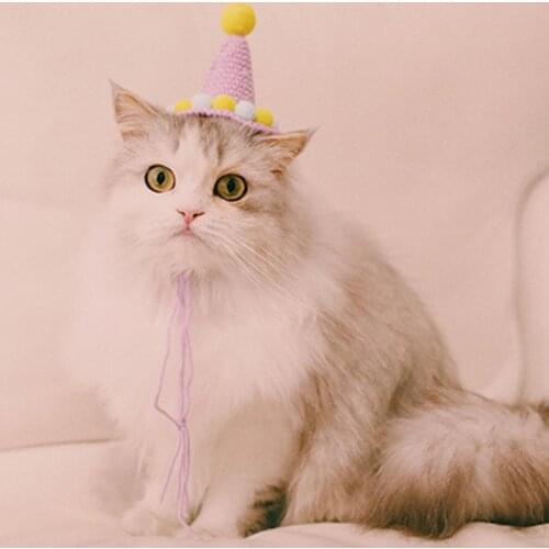 Hand-woven Pet Hat Birthday Plush Ball Cap Photography Props Cat Dog Head Decor Green Cute Petite Hat Ornament Birthday Present