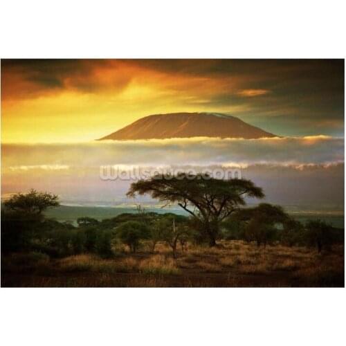 Custom natural landscape wallpaper,Mount Kilimanjaro,modern photo mural for living room restaurant store wall wallpaper