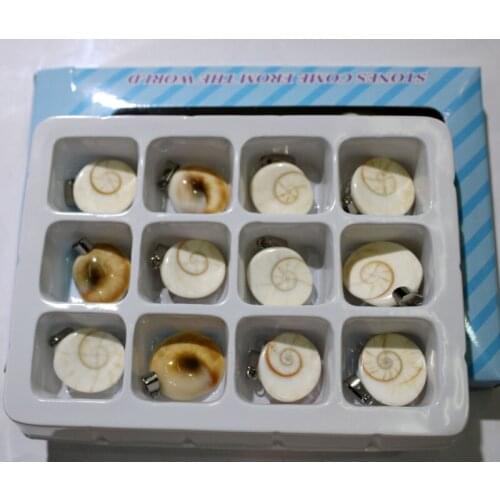 Wholesale natural stone Snails Pendants charms animal pendants Jewelry Accessories making necklace Natural shell 12Pcs/lot