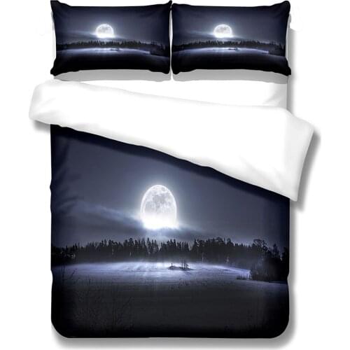 2021 Hot 3d Digital Moon Pattern 2/3pcs Duvet Cover Set 1Quilt Cover + 1/2 Pillowcase Single Twin Double Full Queen King