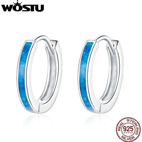 WOSTU 2020 Arrival Circle Stud Earrings 925 Sterling Silver Simple Opal Fine Earrings For Women Party Jewelry Gift DXE992