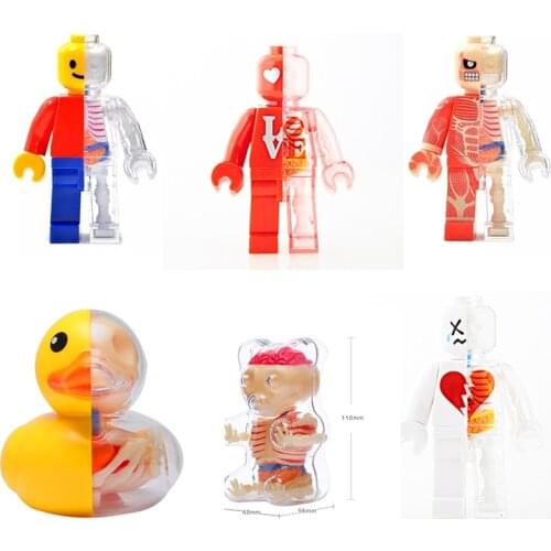 Anime 4D Master Puzzle Assembling Set Human Body Organ Duck Bear Anatomical Model Science Medical Christmas Figure Toys New Year