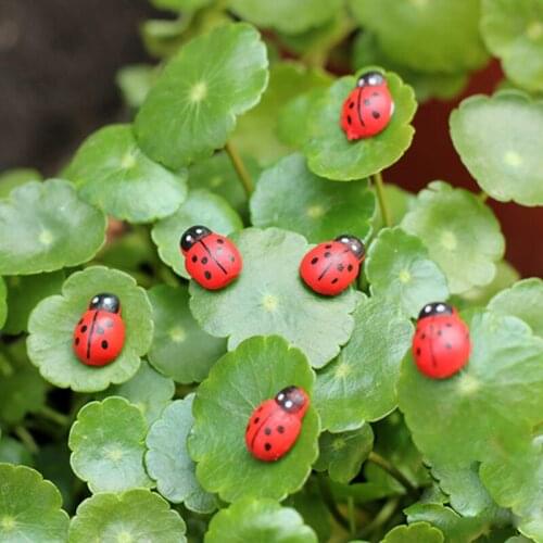 10Pcs Mini Ladybird Red Beetle Ladybug Fairy Doll House Garden Decor Ornament HX6D