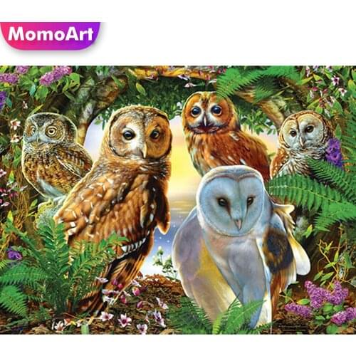 MomoArt Diamond Embroidery Owl Sale Diamond Painting Animal Full Square Round Drill Crafts Mosaic New Arrival Handmade Gift