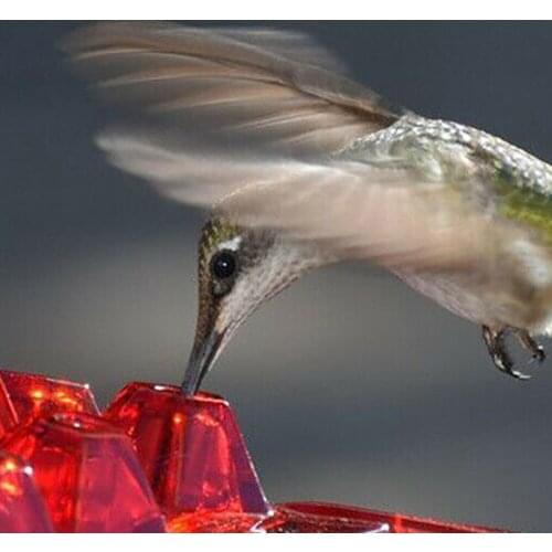 New Product Hanging Hexagonal With Hook Garden Bird Feeder Built in Ant Moat 20Cm Home Courtyard Decoration Easy To Install