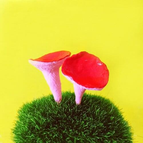 Wholesale~20Pcs/red bowl mushrooms/miniatures/lovely cute/fairy garden gnome/moss terrarium decor/crafts/bonsai/decor/toadstools