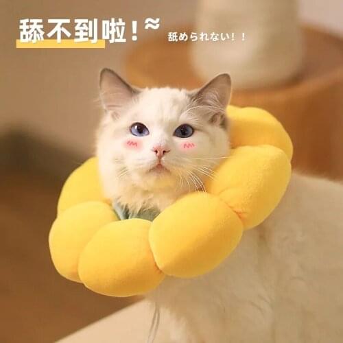 Pet Elizabethan ring cat collar dog anti-scratch bib anti-licking headgear shame collar cat sterilization supplies
