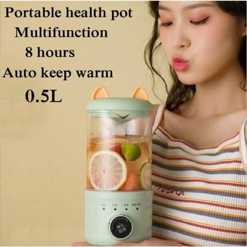 500ML Health Pot Household Multifunctional Automatic Heat Preservation Office Mini Flower Tea Maker DJJ8