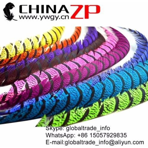 CHINAZP Featured Quality 35~40"(87~100cm) Dyed Zebra Lady Amherst Pheasant Tail Feathers Carnival Showing EMS/Express Ways
