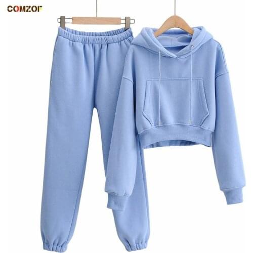 2020 Autumn winter thick women 2 piece set fleece hoodie+pants tracksuit woman casual sets clothes conjuntos de mujer