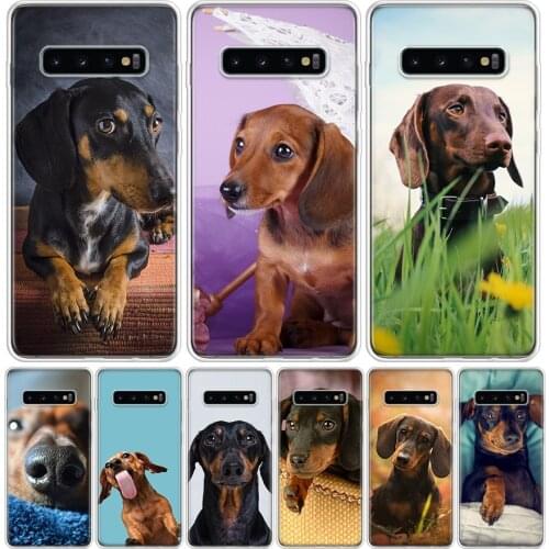 Dachshund Teckel Dackel Dog Phone Case for Samsung Galaxy S10 S20 Ultra Note 10 9 8 S9 S8 S7 J4 J6 J8 Plus Lite + Popular Cover