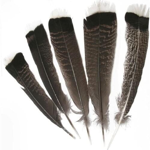 Wholesale Natural Eagle Feathers 25-30cm/10-12inch Turkey Pheasant Eagle Bird Feathers for Crafts Jewelry Making Carnival Plumes