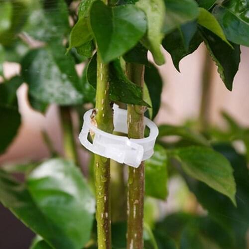 10pcs Reusable Plastic Plant Retaining Clip Support Tomato Clip For Plants Vine Grip Hanging E2A5