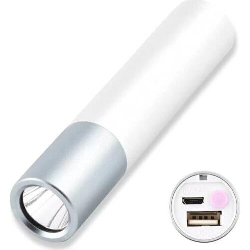 Viktorovna LED Flashlights