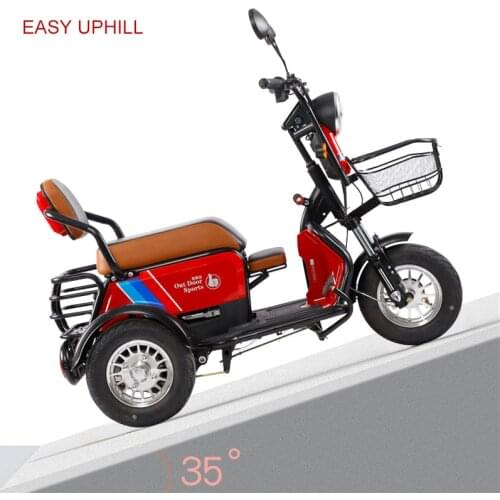 600W/800W Electric Bicycle 48V/60V Household Small Scooter Dual Purpose 12/20/30Ah Lithium Battery 14 Inch Tricycle