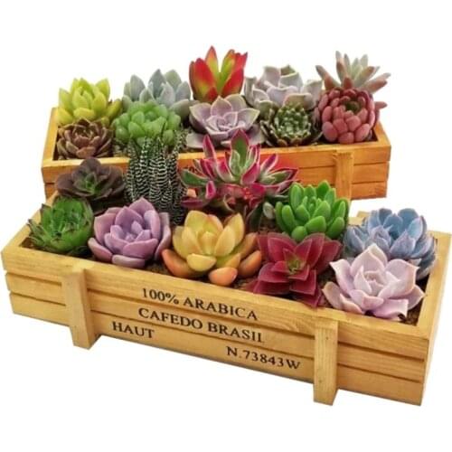 Wooden Planter Box Garden Plant Flower Pot Decorative Yard MicroLandscape Flower Vintage Succulent Boxes Gardening Decoration
