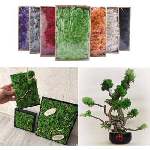 20/40g Natural High Quality Artificial Plant Moss DIY Home Wall Decor Garden Micro Landscape Material For Fake Flowers Ornament