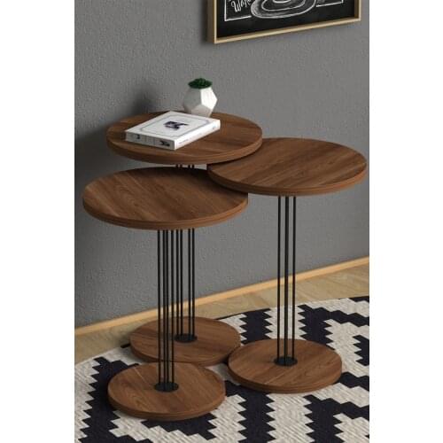 Nola Zigon Coffee Table Walnut