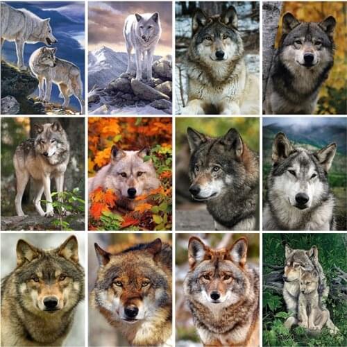 Diy 5d Diamond Painting Full Square Drill Wolf Cross Stitch Rhinestone Mosaic Diamond Embroidery Animals Needlework Home Decor