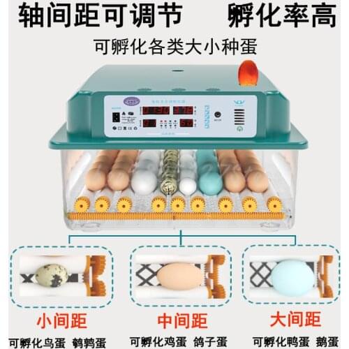 Second Team Water Bed Incubator Automatic Small Household Peacock Incubator Duck Goose Pigeon Chicken Incubator