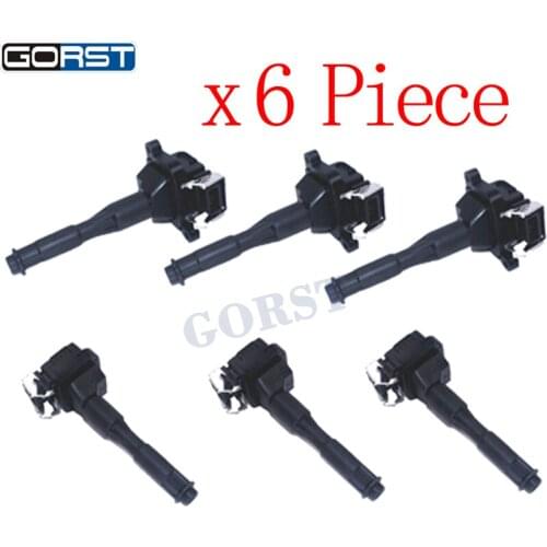 Ignition Coil 0221504029 For Bmw E31 E36 E39 E46 E52 E53 0221504004 12131703825 12139067830 12131703227 12131703228 Total 6 Pcs