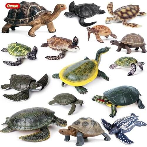 Oenux Ocean Sea Turtle Growth Cycle Action Figures Simulation Marine Animal Tortoise Model PVC Early Education Cute Kids Toy
