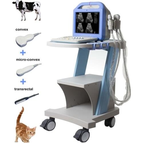 AUTO NOLA Blood Pressure Measuring Devices