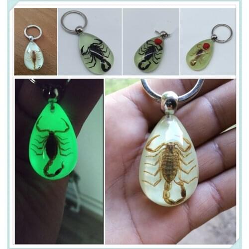 Motorcycle Accessories Insect Luminous Amber Keychain Waist Pendant for HONDA CB919 CBR 600 F2 F3 F4 F4i CBR900RR NC700 S X