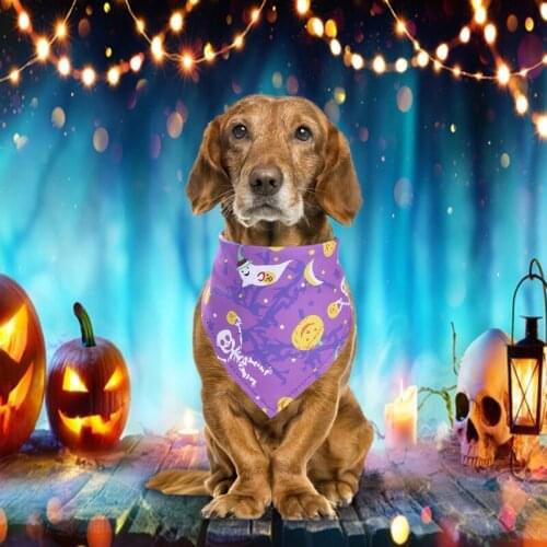 Halloween Dog Bandana Bibs Scarf Collar Pumpkin Thanksgiving Cute Dog Cat Bandana Triangular Bandage Collar #2
