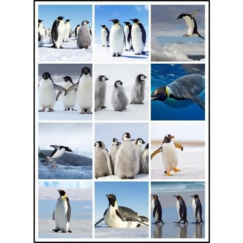 LIPHISFUN DIY 5D Diamond Painting Embroidery Cross Stitch Full Drill Home Decor Square/round Animal Penguin