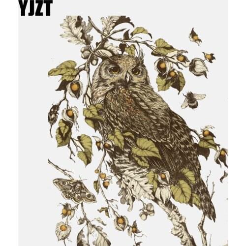 YJZT 12.3CM*15.7CM Owl Standing On The Branch PVC High Quality Car Sticker 11-01439