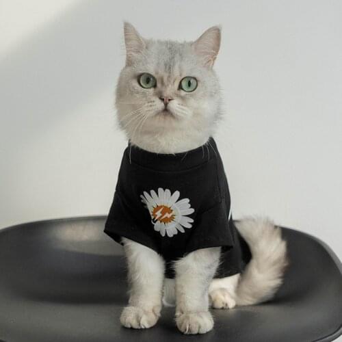 Korea chrysanthemum X cute cat Dog T-shirt Dog Clothes For Puppy Breathable Dog Shirt Chihuahua Yorkshire Outdoor French Bulldog