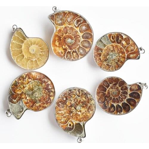 Wholesale 6pcs/lot fashion Natural Stone Ammonite Snail shell Fossils pendants for jewelry Accessories making free shipping