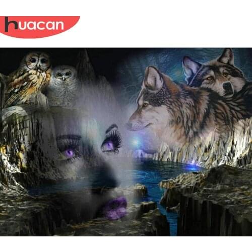 HUACAN 5d Diy Diamond Painting Wolf Animal Wall Stickers Embroidery Woman Portrait Mosaic Owl Home Decor