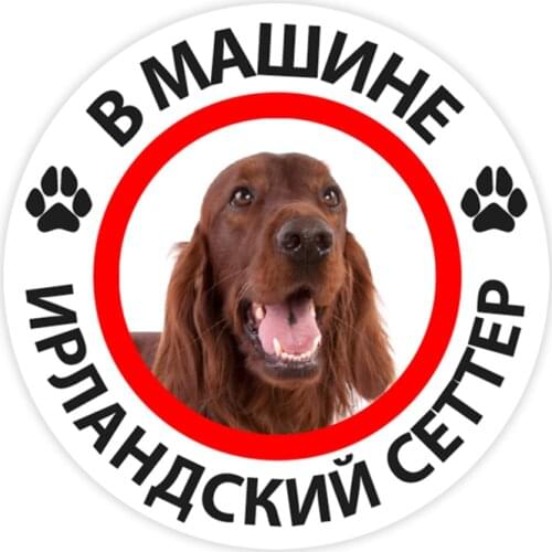 B0280# 10/13/15 cm Irish Setter in the Car Self-adhesive Decal Car Sticker Waterproof Auto Decors on Bumper Rear Window
