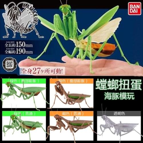 Bandai Genuine Gashapon Toys Mantis Insects Simulation Model Action Figure Ornaments Limited Collection