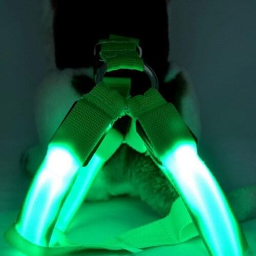 Pet Dog Cat Harness Led Flashing Light Harness Collar Pet Safety Led Leash Rope Belt Dog Accessories #2