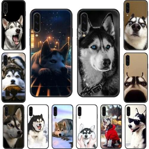 Dog husky cute interesting Phone case For Samsung Galaxy A 3 5 8 9 10 20 30 40 50 70 E S Plus 2016 2017 2018 2019 black soft