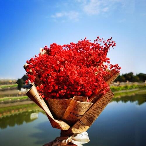 Natural Preserved Flowers Gypsophila Flower Babys Breat Wedding Bouquets Gift For Decoration Party Dekoration centro de mesa