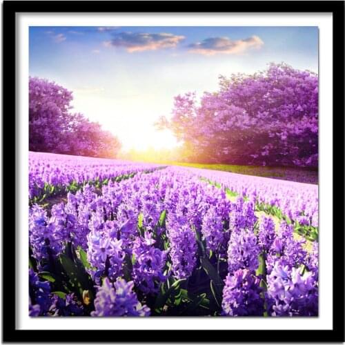 Full Solid Normal Round drills 5D DIY Lavender fields scenery picture diamond painting cross stitch diamond embroidery