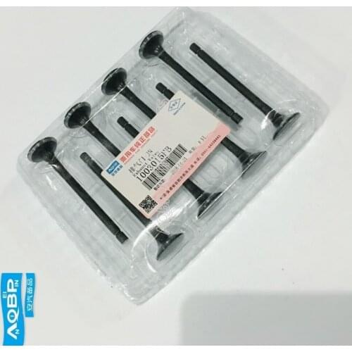 Auto Replacement Parts Air Exhaust System Exhaust Parts OE number 1003015FB for JAC Refine 1.9 Exhaust Valve
