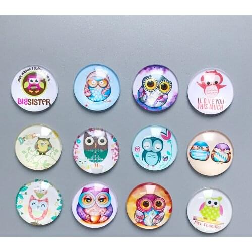 Diamond Painting Tools Owl Glass Cover minder for Parchment Paper