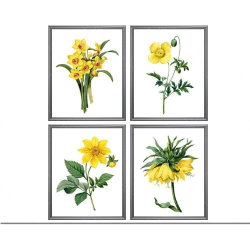 Ensemble imprimable de 4 pièces de fleurs jaunes, illustrations de fleurs rétro, impressions d'art mural végétal