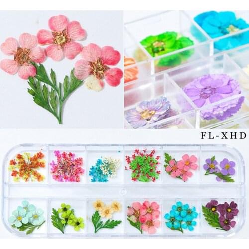 Mix 12 Colors Natural Dried Flowers DIY Nail Art Floral Decorations Nail Art Decorations Nail Polish Art Tool