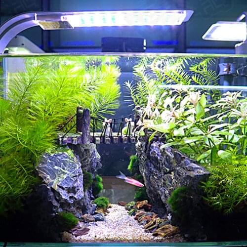 24LED Aquarium Lights 10W 110V 250lm Clip-on LED Plants Grow Light Aquatic Freshwater Lamps Waterproof Lamp For Fish Tank